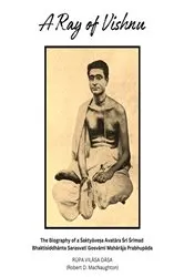 Book cover of A Ray of Vishnu by Rupa Vilasa Dasa