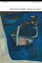 Book cover of A Recipe for Water by Gillian Clarke