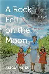 Book cover of A Rock Fell on the Moon by Alicia Priest