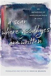 Book cover of A Scar Where Goodbyes Are Written by David M. Brunson
