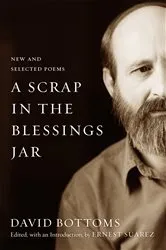 Book cover of A Scrap in the Blessings Jar by David Bottoms