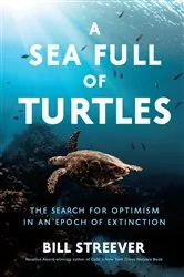 Book cover of A Sea Full of Turtles by Bill Streever