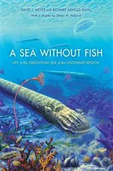 Book cover of A Sea without Fish by David L. Meyer