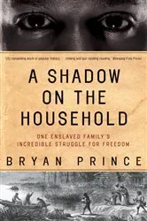 Book cover of A Shadow on the Household by Bryan Prince