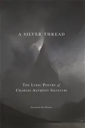 Book cover of A Silver Thread by Junia Mae