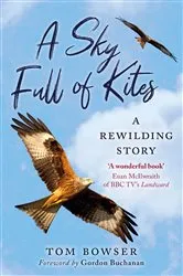 Book cover of A Sky Full of Kites by Tom Bowser