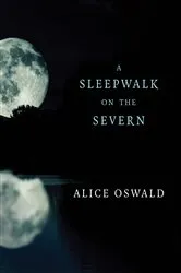 Book cover of A Sleepwalk on the Severn by Unknown