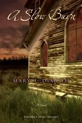 Book cover of A Slow Burn by Mary E. DeMuth