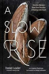 Book cover of A Slow Rise by Daniel Leader