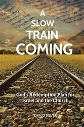 Book cover of A Slow Train Coming by David S Silver