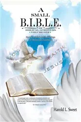Book cover of A Small B.I.B.L.E. of Biblical Acronyms by Harold L Sweet