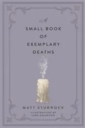 Book cover of A Small Book of Exemplary Deaths by Matt Sturrock