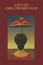 Book cover of A Small Story about the Sky by Alberto Ríos