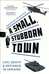 Book cover of A Small, Stubborn Town by Andrew Harding