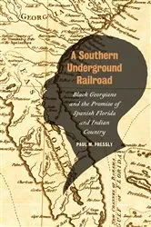 Book cover of A Southern Underground Railroad by Paul M. Pressly