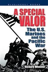 Book cover of A Special Valor by Richard Wheeler