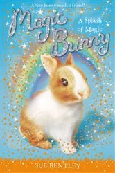 Book cover of A Splash of Magic #3 by Sue Bentley