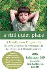 Book cover of A Still Quiet Place by Amy Saltzman