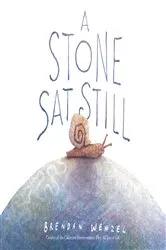Book cover of A Stone Sat Still by Brendan Wenzel