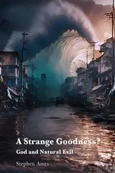 Book cover of A Strange Goodness? by Stephen Ames