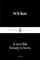 Book cover of A Terrible Beauty is Born by Brendan Curran