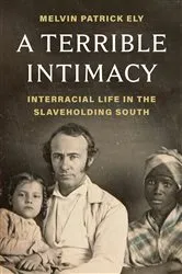 Book cover of A Terrible Intimacy by Melvin Ely