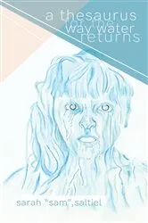 Book cover of A Thesaurus for the Way Water Returns by Sarah 
