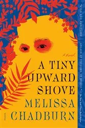 Book cover of A Tiny Upward Shove by Melissa Chadburn