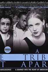 Book cover of A Tribe Apart by Patricia Hersch
