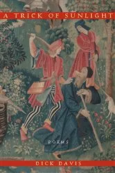 Book cover of A Trick of Sunlight by Dick Davis