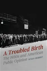 Book cover of A Troubled Birth by Susan Herbst