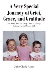Book cover of A Very Special Journey of Grief, Grace, and Gratitude by Julie Clark Ames