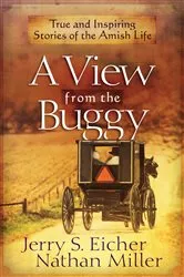 Book cover of A View from the Buggy by Jerry S. Eicher