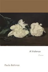 Book cover of A Violence by Paula Bohince