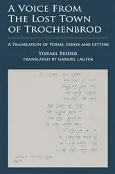 Book cover of A Voice from The Lost Town of Trochenbrod by Yisrael Beider