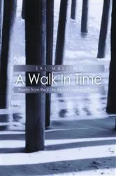 Book cover of A Walk In Time by Sal Mallimo