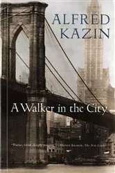 Book cover of A Walker in the City by Unknown