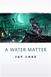 Book cover of A Water Matter by Jay Lake