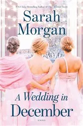 Book cover of A Wedding in December by Anita Shreve