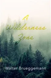 Book cover of A Wilderness Zone by Walter Brueggemann