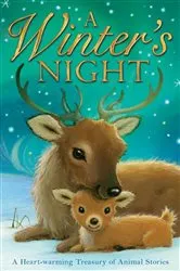 Book cover of A Winter's Night by Various