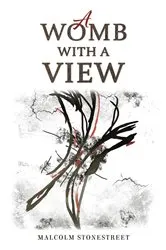 Book cover of A Womb With a View by Malcolm Stonestreet