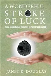 Book cover of A Wonderful Stroke of Luck by Ann Beattie