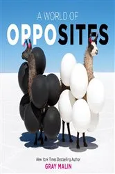 Book cover of A World of Opposites by Gray Malin