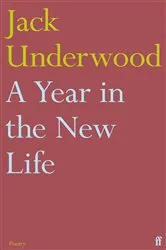 Book cover of A Year in the New Life by Jack Underwood