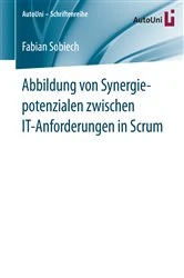 Book cover of Abbildung von Synergiepotenzialen zwischen IT-Anforderungen in Scrum by Fabian Sobiech