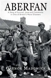 Book cover of Aberfan by Gaynor Madgwick