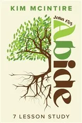 Book cover of Abide: John 15 by Kim McIntire