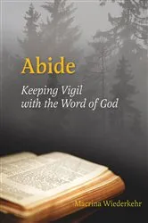 Book cover of Abide by Jake Adam York