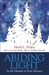 Book cover of Abiding Light by Heidi L. Paulec
